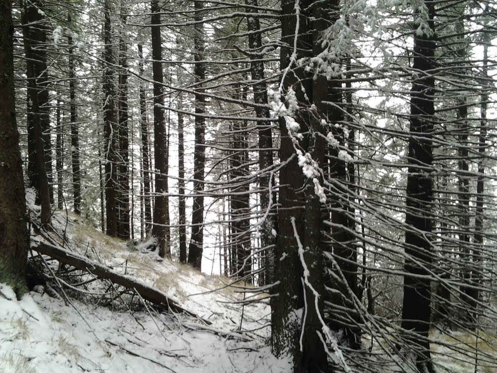 Bucegi Mountains first snow, Pure Romania, freedom, Beauty of Romania nature (12)
